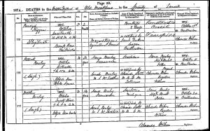 Matthew and Patrick Death