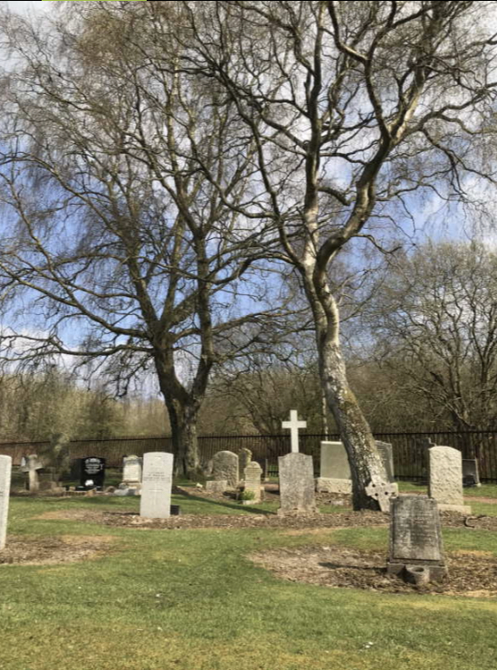 EED1BDDB-1E10-4D12-A128-43A0DCD83B1F